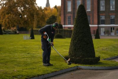 Landscaping & Lawn Care Services